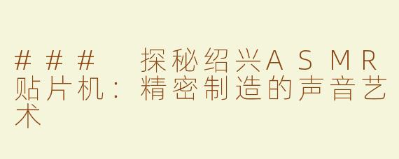 ### 探秘绍兴ASMR贴片机：精密制造的声音艺术