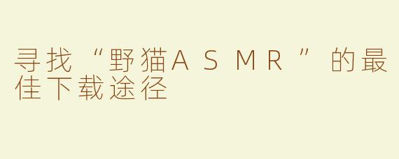 寻找“野猫ASMR”的最佳下载途径