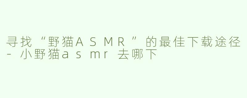寻找“野猫ASMR”的最佳下载途径-小野猫asmr去哪下