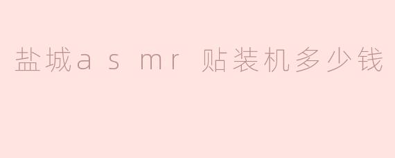 盐城的ASMR贴装机多少钱？