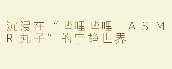 沉浸在“哔哩哔哩 ASMR丸子”的宁静世界