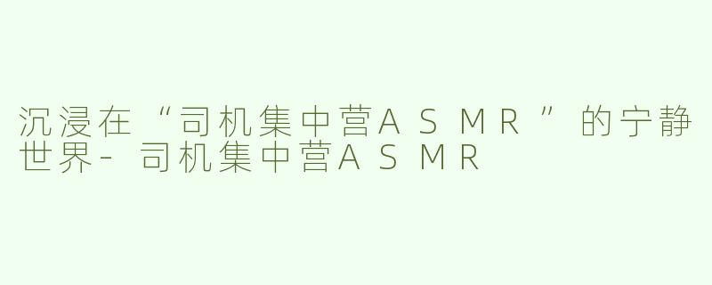 沉浸在“司机集中营ASMR”的宁静世界