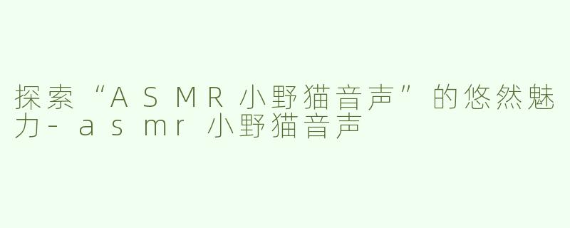 探索“ASMR小野猫音声”的悠然魅力-asmr小野猫音声