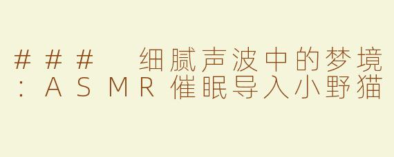### 细腻声波中的梦境：ASMR催眠导入小野猫