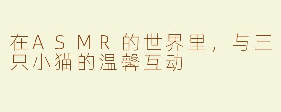 在ASMR的世界里，与三只小猫的温馨互动