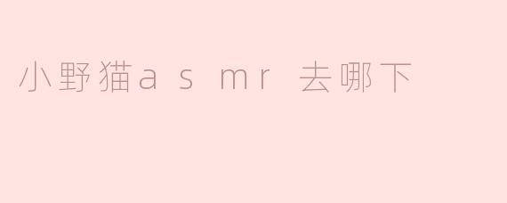 小野猫ASMR视频去哪里下载？