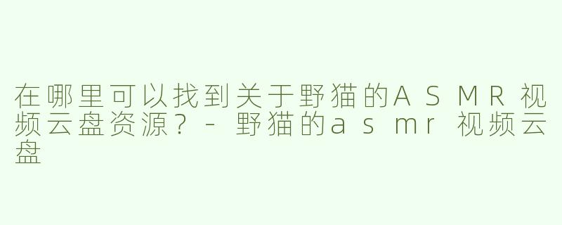 在哪里可以找到关于野猫的ASMR视频云盘资源？
