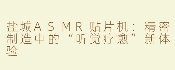 盐城ASMR贴片机：精密制造中的“听觉疗愈”新体验