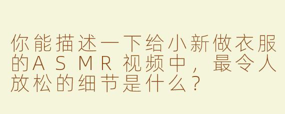 你能描述一下给小新做衣服的ASMR视频中，最令人放松的细节是什么？