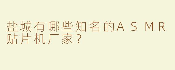 盐城有哪些知名的ASMR贴片机厂家？