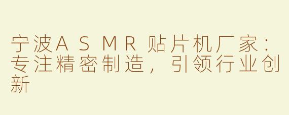 宁波ASMR贴片机厂家：专注精密制造，引领行业创新