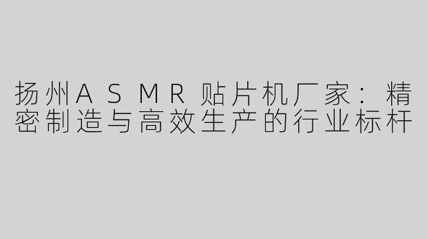 扬州ASMR贴片机厂家：精密制造与高效生产的行业标杆