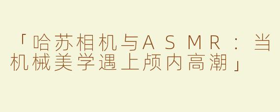 「哈苏相机与ASMR：当机械美学遇上颅内高潮」