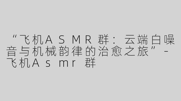 “飞机ASMR群：云端白噪音与机械韵律的治愈之旅”-飞机Asmr群