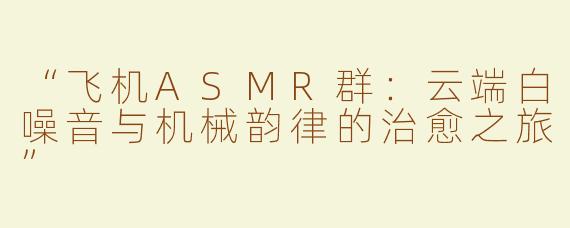 “飞机ASMR群：云端白噪音与机械韵律的治愈之旅”