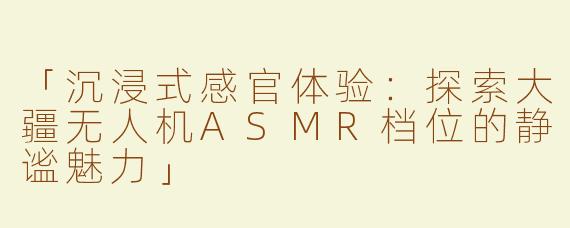 「沉浸式感官体验：探索大疆无人机ASMR档位的静谧魅力」