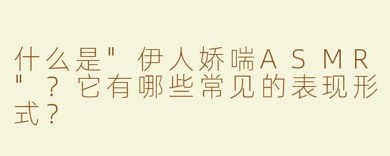什么是