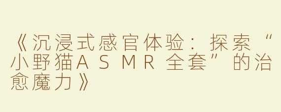 《沉浸式感官体验：探索“小野猫ASMR全套”的治愈魔力》