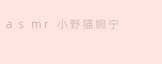 asmr小野猫婉宁