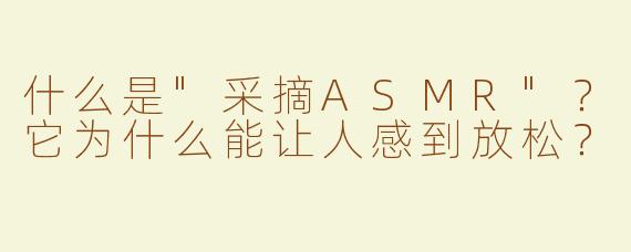 什么是