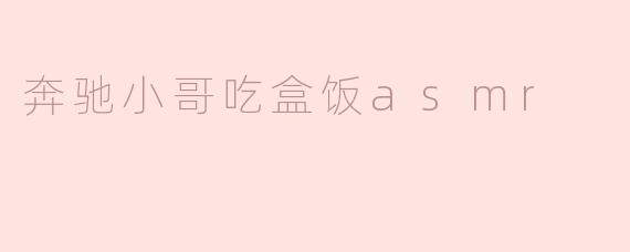 奔驰小哥吃盒饭asmr
