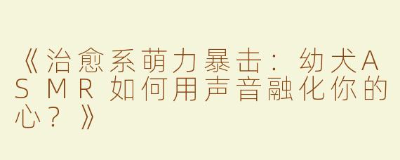 《治愈系萌力暴击：幼犬ASMR如何用声音融化你的心？》