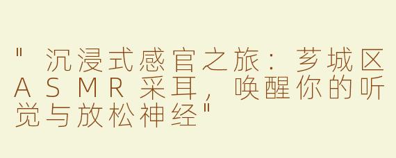 "沉浸式感官之旅：芗城区ASMR采耳，唤醒你的听觉与放松神经"
