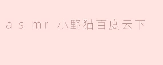 asmr小野猫百度云下