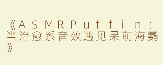 《ASMRPuffin：当治愈系音效遇见呆萌海鹦》