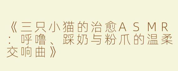 《三只小猫的治愈ASMR：呼噜、踩奶与粉爪的温柔交响曲》