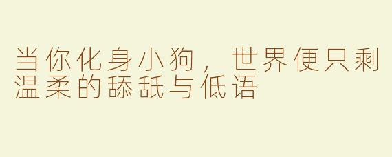 当你化身小狗,世界便只剩温柔的舔舐与低语