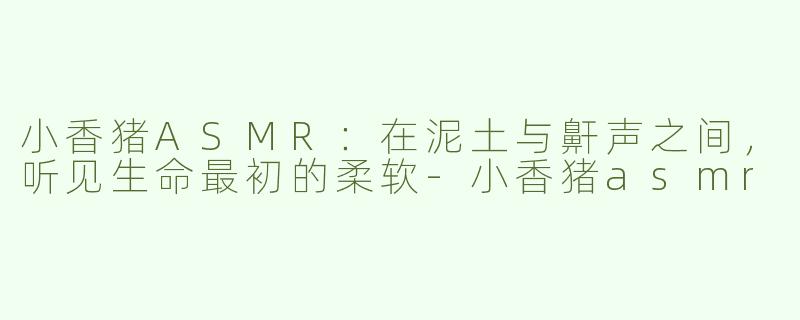 小香猪ASMR:在泥土与鼾声之间,听见生命最初的柔软-小香猪asmr