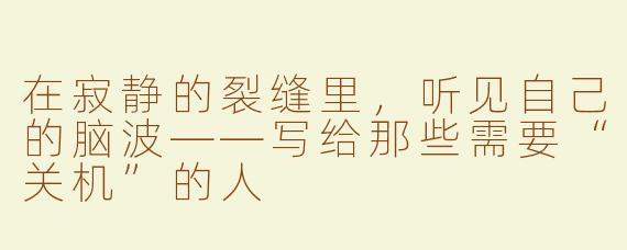 在寂静的裂缝里,听见自己的脑波——写给那些需要“关机”的人