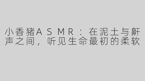 小香猪ASMR:在泥土与鼾声之间,听见生命最初的柔软