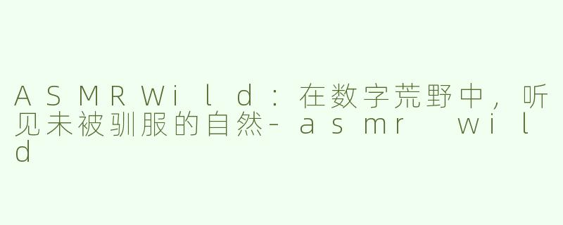 ASMRWild:在数字荒野中,听见未被驯服的自然-asmr wild